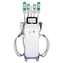 Perfectlaser Cryolipolysis 4 w 1