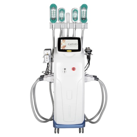 Perfectlaser Cryolipolysis 4 w 1