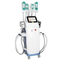Perfectlaser Cryolipolysis 4 w 1